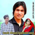 Gunda Mewati badmashi song