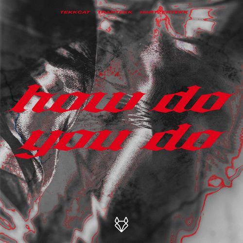 How Do You Do (HardTekk)