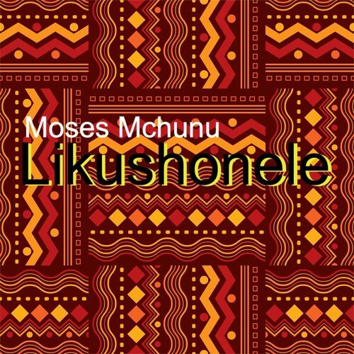 Wongikhonzela cover art