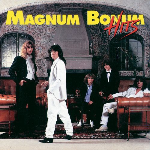 Magnum Bonum Hits_poster_image