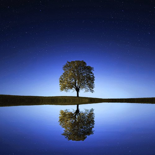 Quiet Meditation cover art