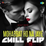 Mohabbat Ho Na Jaye - Chill Flip