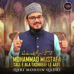Qari Mohsin Qadri