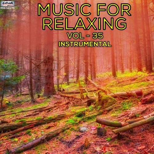 Music For Relaxing Vol 35