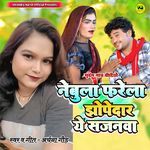 Nebula Farela Jhopedar Ye Sajanava