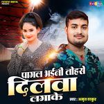 Pagal Bhaini Tohse Dilwa Lagake