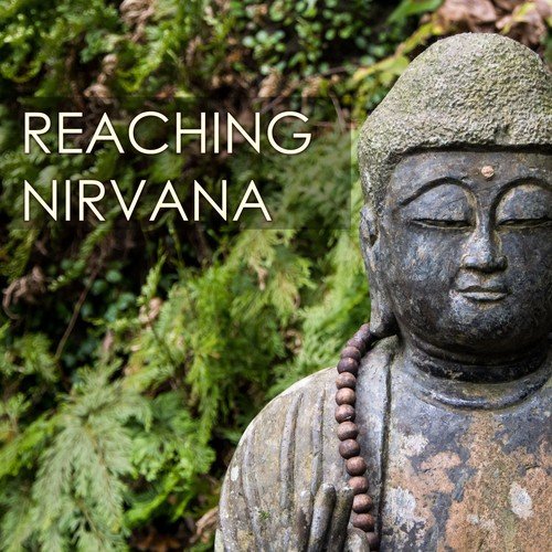 Nirvana Meditation School Master