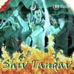 Shiv Tandav - Dhun