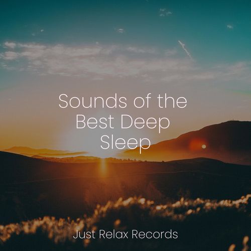 Sounds of the Best Deep Sleep