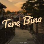 Tere Bina