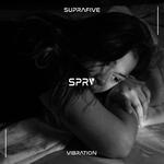 Vibration (Beach Mix) artwork