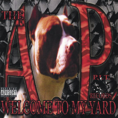 Crazy - young cali cover art