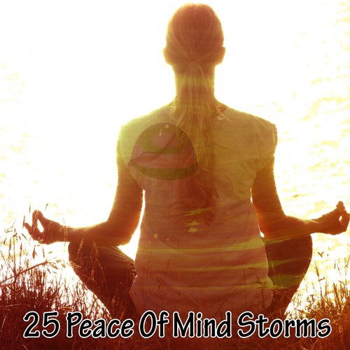 25 Peace Of Mind Storms