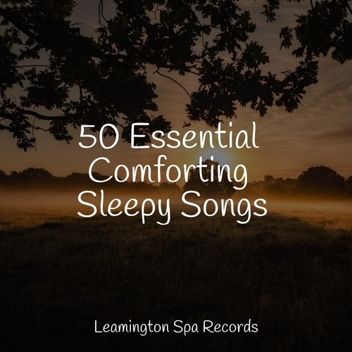 Sleep Music cover art