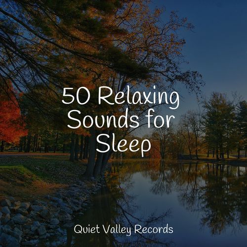 50 Relaxing Sounds for Sleep