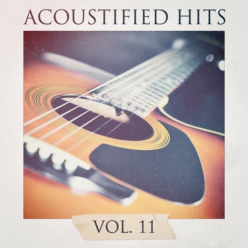 Acoustified Hits, Vol. 11