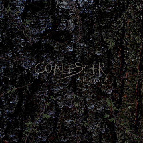Broken Brown Branches cover art