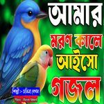 Amar Moron Kale Aiso Novi