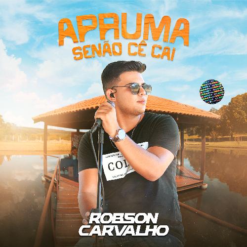 Apruma Senão Cê Cai (Cover)