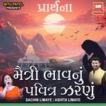 મૈત્રી ભાવનું જ પવિત્ર ઝરણું