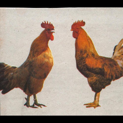 That Petrol Emotion cover art