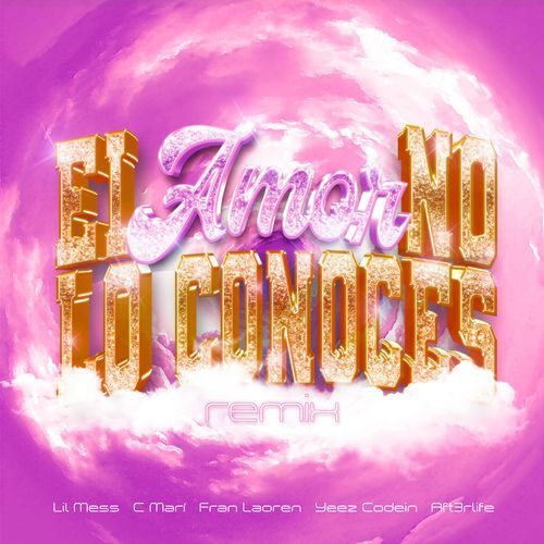 El Amor No Lo Conoces (Remix)