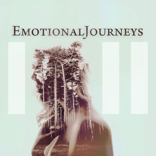 Emotional Journeys_poster_image