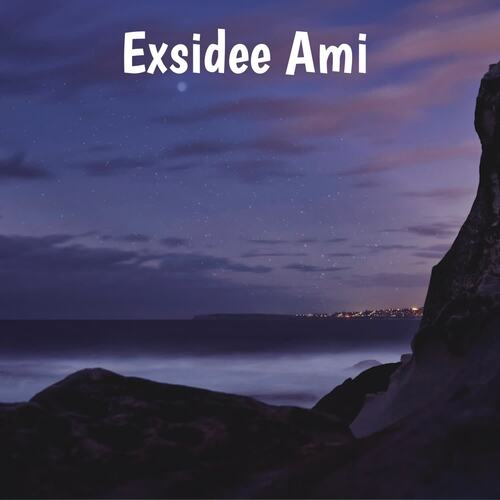 Exsidee Ami