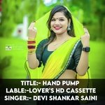 Hand pump (Rajasthani)