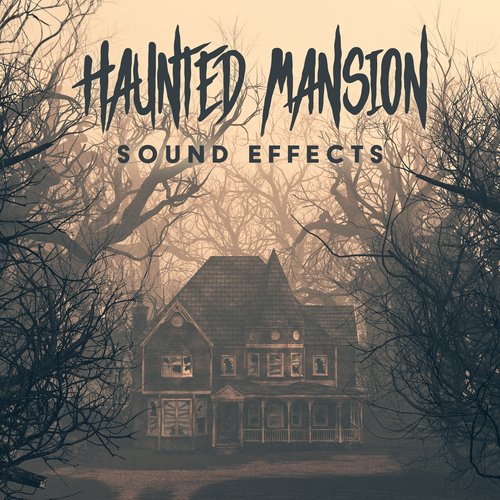 Haunted Mansion Sound Effects_poster_image