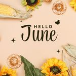 Hello June