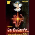 Vaanathin Senaigale