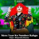 Mere Yaar Ko Number Rahgo