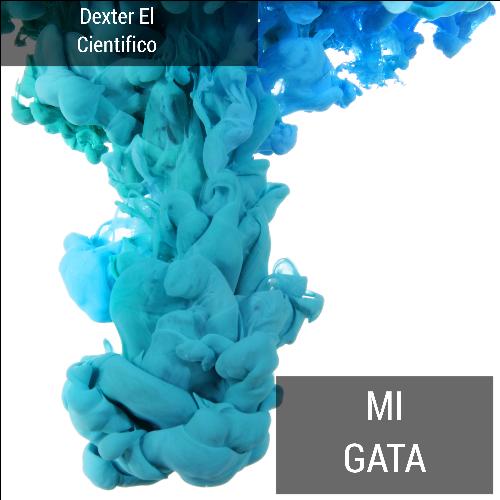 Mi Gata Song Download From Mi Gata JioSaavn surah-yusuf-with-urdu-translation-surah-yusuf-ki-tilawat-42-off