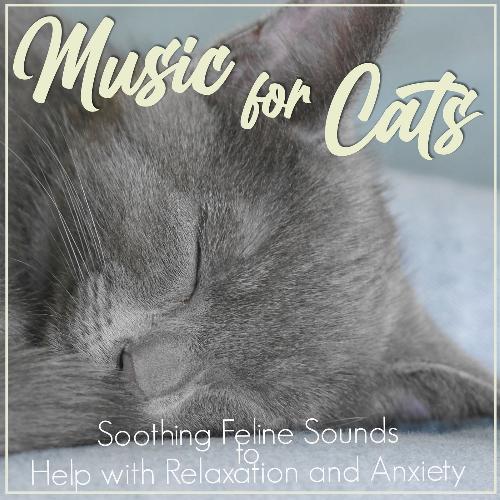 Music For Cats: Soothing Feline Sounds to Help with Relaxation and Anxiety