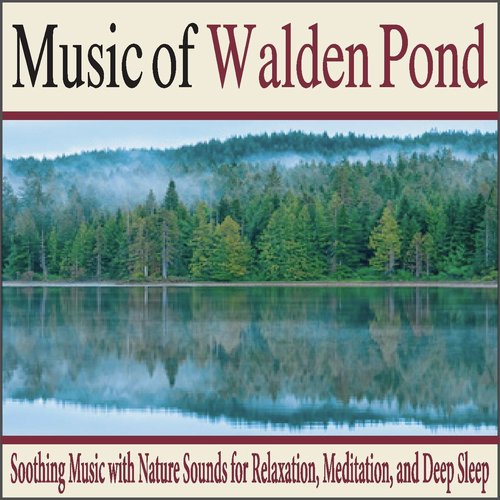 Morning's Mist On the Lynn Woods Reservation cover art