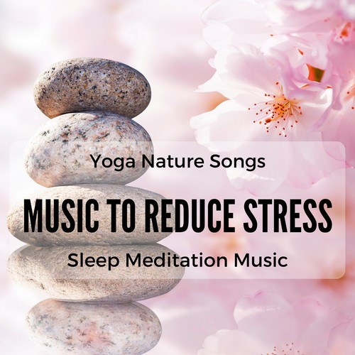 Music to Reduce Stress, Nature Sounds, Rainforest, White Noise, Sleep Meditation Music, Relax, Yoga Songs_poster_image