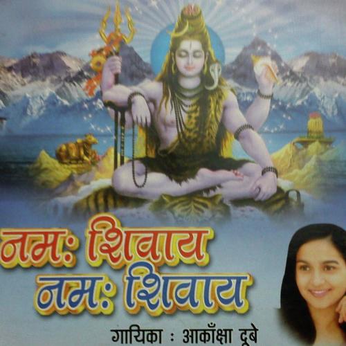 Namah Shivay Namah Shivay_poster_image