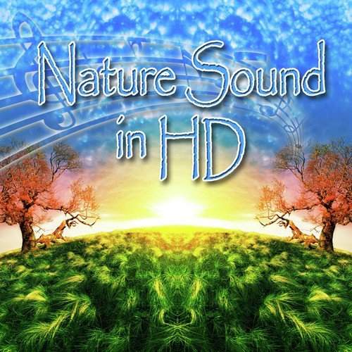 Nature Sounds in HD