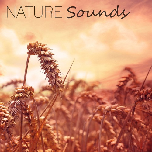 Healing by Touch & Nature Sounds