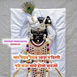 थार पैदल पैदल आऊ र डिग्गी पूरी राजा मारो होलो सुनज्यों
