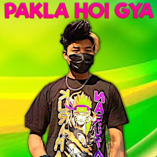 Pakla Hoi Gya