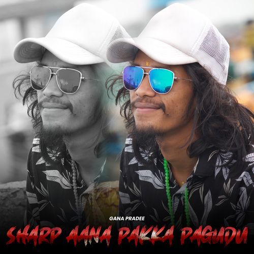 Sharp Aana Pakka Pagudu