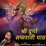 Shri Durga Saptashati Path