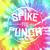 Spike The Punch 2016