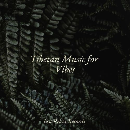 Tibetan Music for Vibes