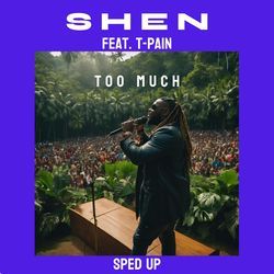 Too Much (feat. T-Pain) (Sped Up)-IhgxUBNGYXU