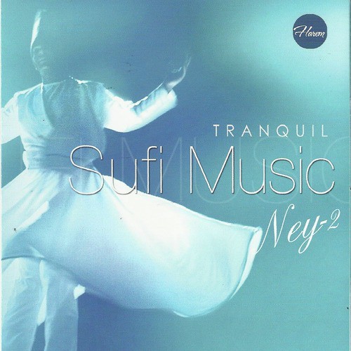 Salatı Ümmüye cover art