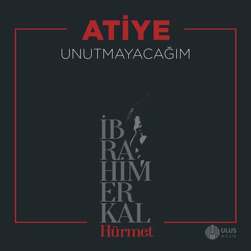 Unutmayacağım (İbrahim Erkal Hürmet)