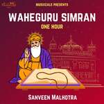 Waheguru Simran One Hour